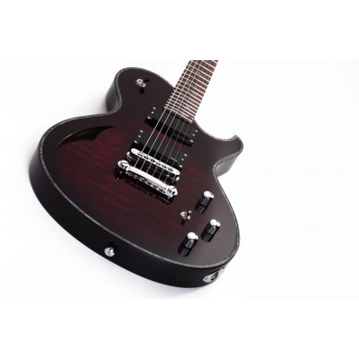 SCHECTER Hellraiser Solo-6 E/A BCH - напівакустична електрогітара
