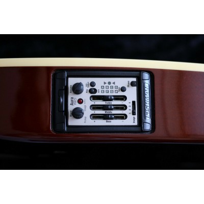 GODIN 035014 - Multi Oud Ambiance Nylon Natural HG with case (Made in Canada) - Електроакустичний уд
