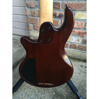 GODIN 019663 - FREEWAY 5 BASS Natural SG (Made in Canada) - п'ятиструнна бас-гітара
