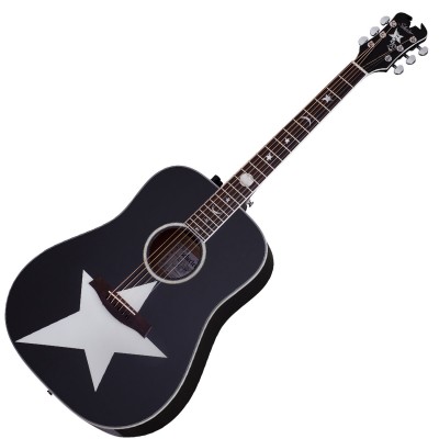 SCHECTER RS-1000 STAGE ACOUSTIC - Акустична гітара з підключенням