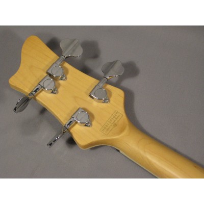 SCHECTER STARGAZER-5 Bass CG - п'ятиструнна бас-гітара
