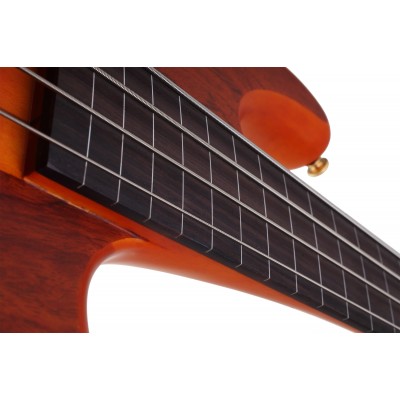 SCHECTER STILETTO STUDIO-4 FL HSN - чотириструнна бас-гітара, безладова