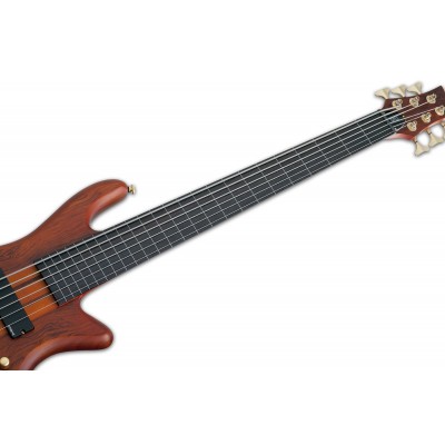 SCHECTER STILETTO STUDIO-6 FL HSN - шестиструнна бас-гітара, безладова (тимчасово недоступна)