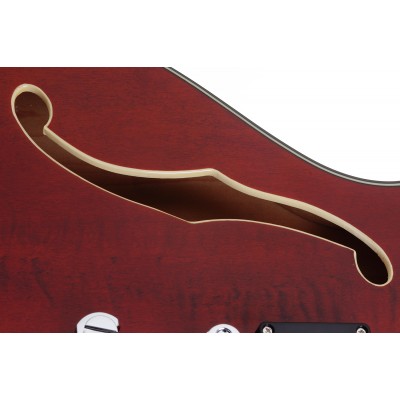 SCHECTER CORSAIR T.O.M. GWAL - Напівакустична електрогітара