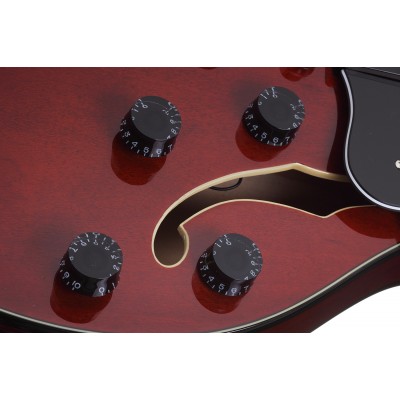 SCHECTER CORSAIR T.O.M. GWAL - Напівакустична електрогітара