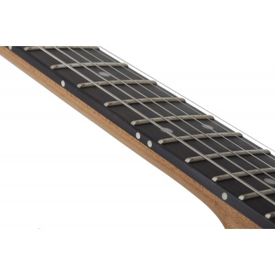 SCHECTER PT Pro TPB - Електрична гітара