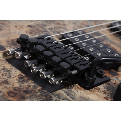SCHECTER REAPER-6 FR COALBURST - Електрична гітара