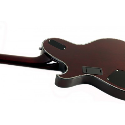 SCHECTER Hellraiser Solo-6 E/A BCH - напівакустична електрогітара