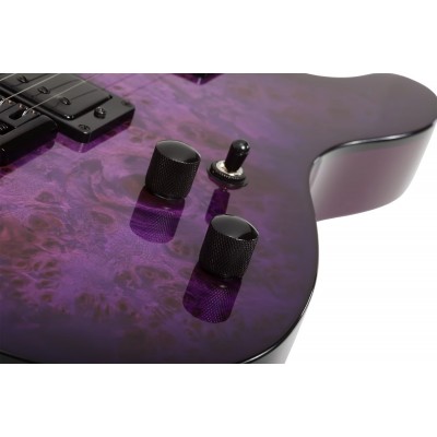SCHECTER PT STANDARD Purple Burst Burl - Електрична гітара